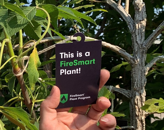firesmart plant tag